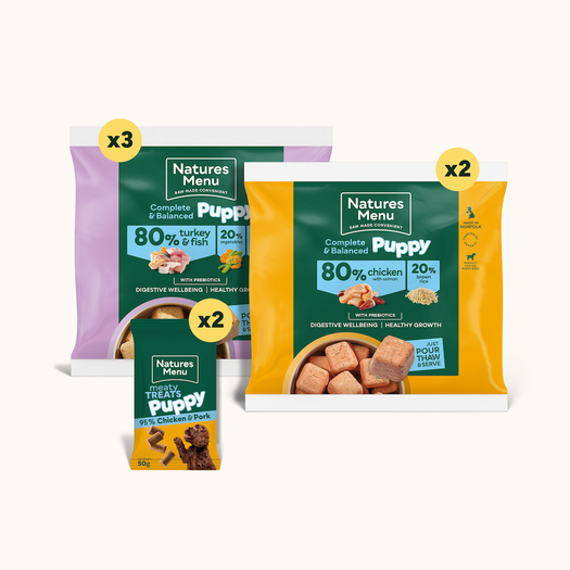 Raw Favourites Selection for Medium Breed Puppies