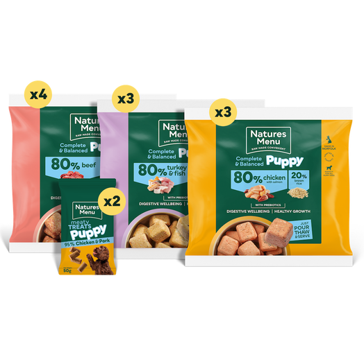 Raw Favourites: 80% Meat Bundle for Large Breed Puppies