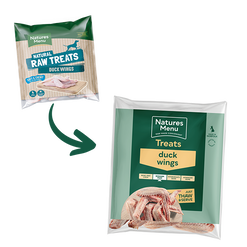 Duck Wings image number 3