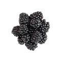 Blackberries