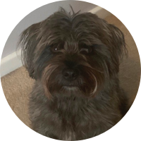 DEXTER&rsquo;S DOGGY DIET