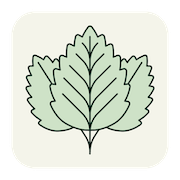 Image without a name