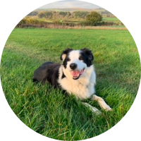 SHERLOCK&rsquo;S GREAT FIND