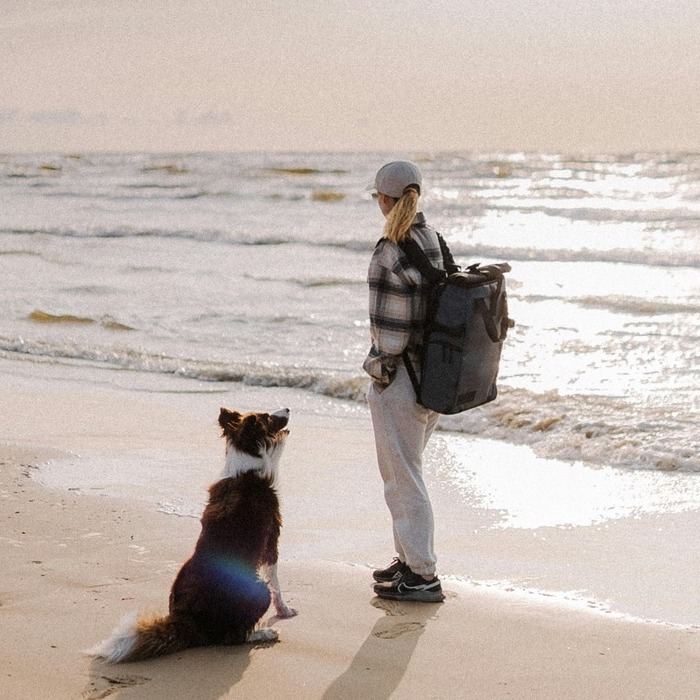 <b>TRAVELLING WITH YOUR DOG IN THE UK &ndash; THE ULTIMATE GUIDE</b><br><br>Learn how to plan a dog-friendly holiday in the UK &ndash; from finding great accommodation to helping your pooch settle in the car&hellip;</br>