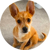 A BIG CHANGE FOR LITTLE BUDDY