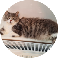 TIP-TOP SHAPE WITH NATURES MENU