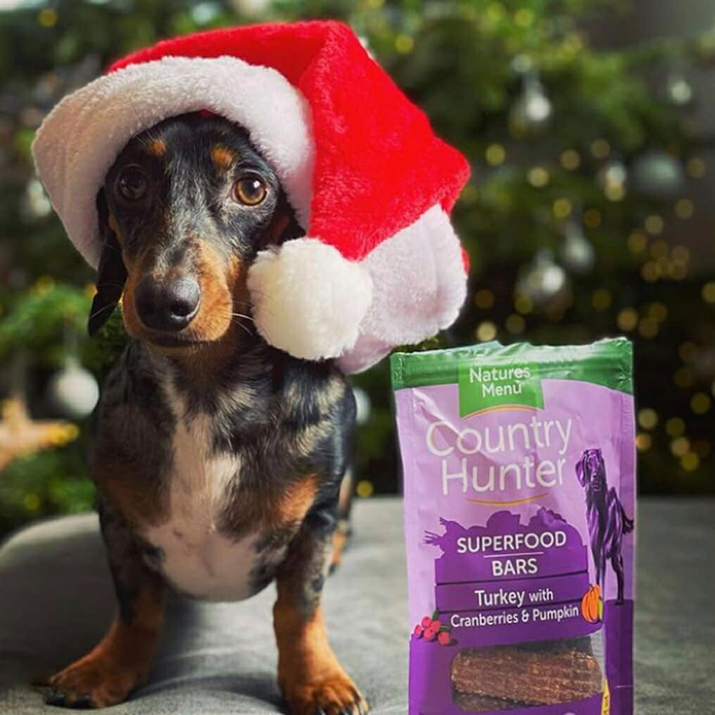  <b>DOG CHRISTMAS GIFTS: FESTIVE WAYS TO TREAT YOUR FURRY FRIEND</b><br><br>You&rsquo;ve ticked off the family. Found something for that friend who&rsquo;s already got everything,...</br>