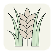 Image without a name