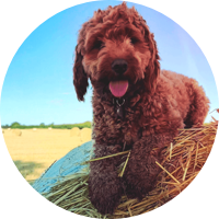 WORLD'S FUSSIEST EATER