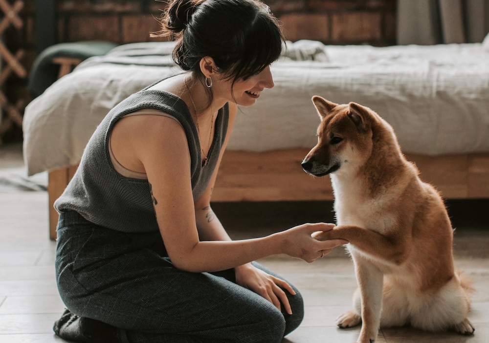 Can diet affect my dog's behaviour?